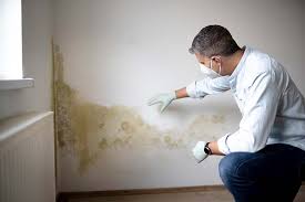 Best Attic Mold Removal  in Pikeville, TN